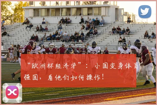 “欧洲杯经济学”：小国变身体育强国，看他们如何操作！