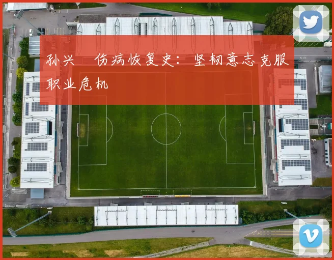 孙兴慜伤病恢复史：坚韧意志克服职业危机