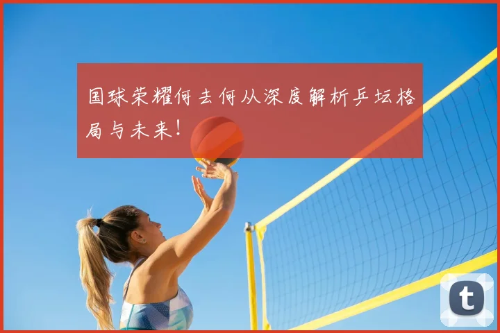 国球荣耀何去何从深度解析乒坛格局与未来！
