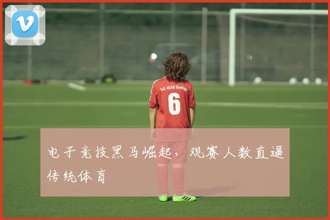 电子竞技黑马崛起，观赛人数直逼传统体育